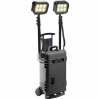 9460RS Black Remote Area Lighting System, 2 lamp heads on masts, 6 LEDs per head